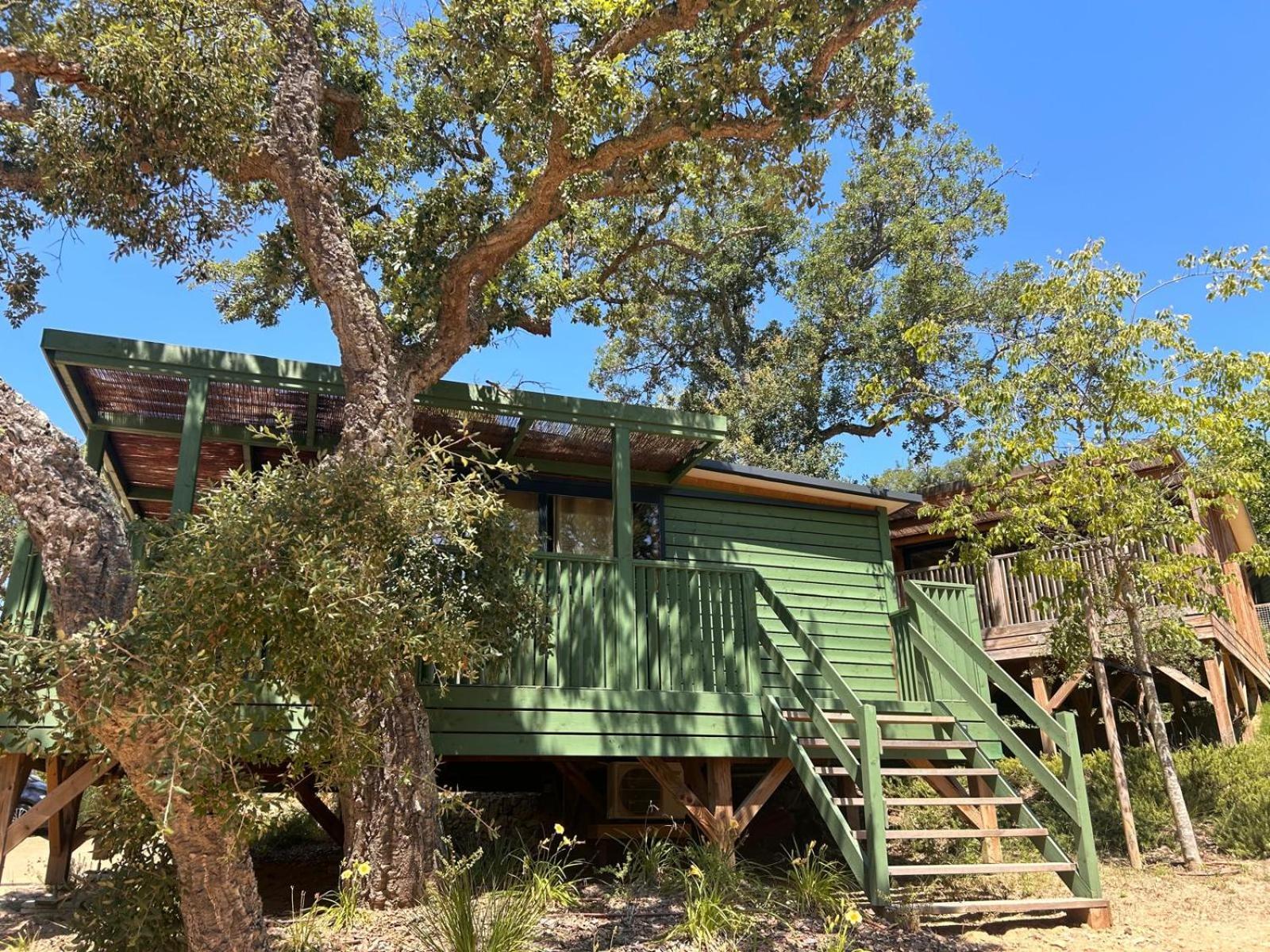 Camping Cala Pola Tossa de Mar Luaran gambar